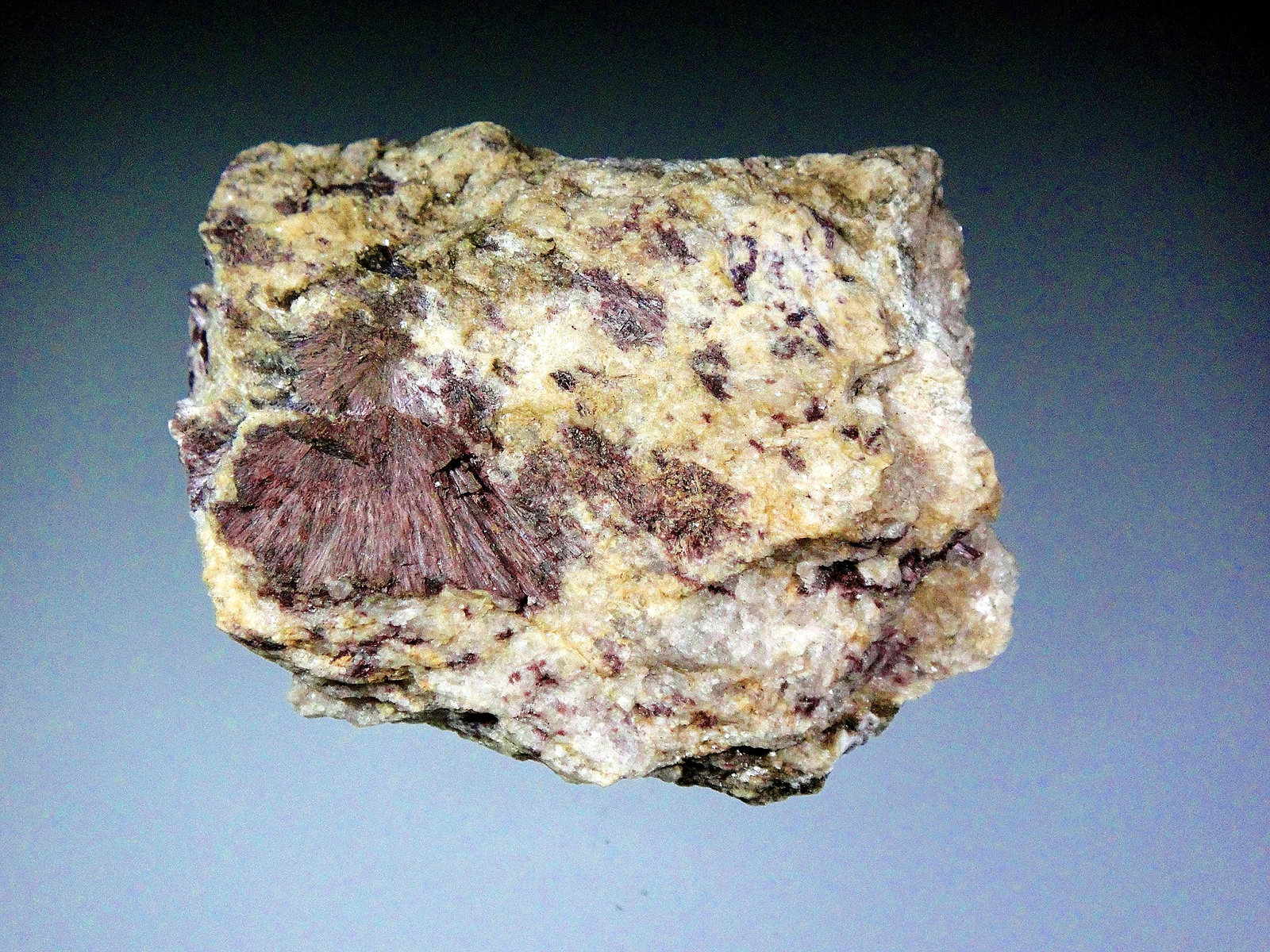 Dumortierita
6,5 x 5 cm.
(Autor: Antonio P. López)