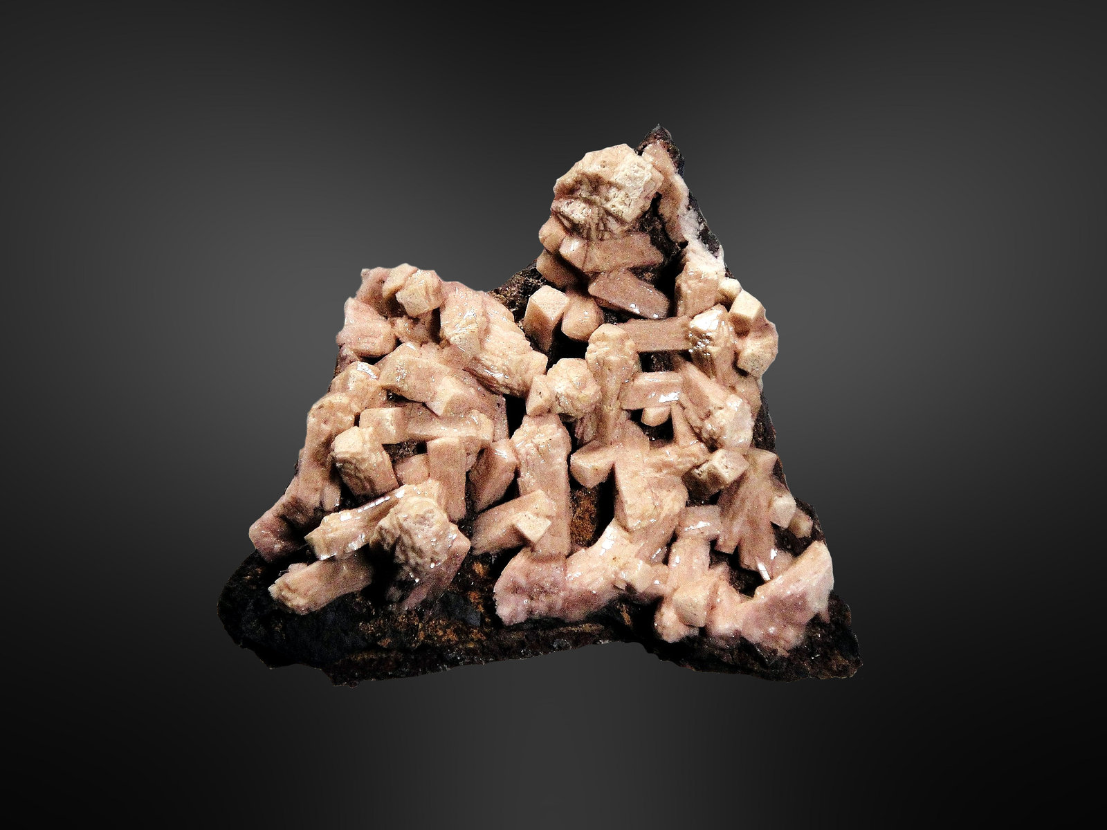 Olmiíta
5 x 5 cm.
(Autor: Antonio P. López)