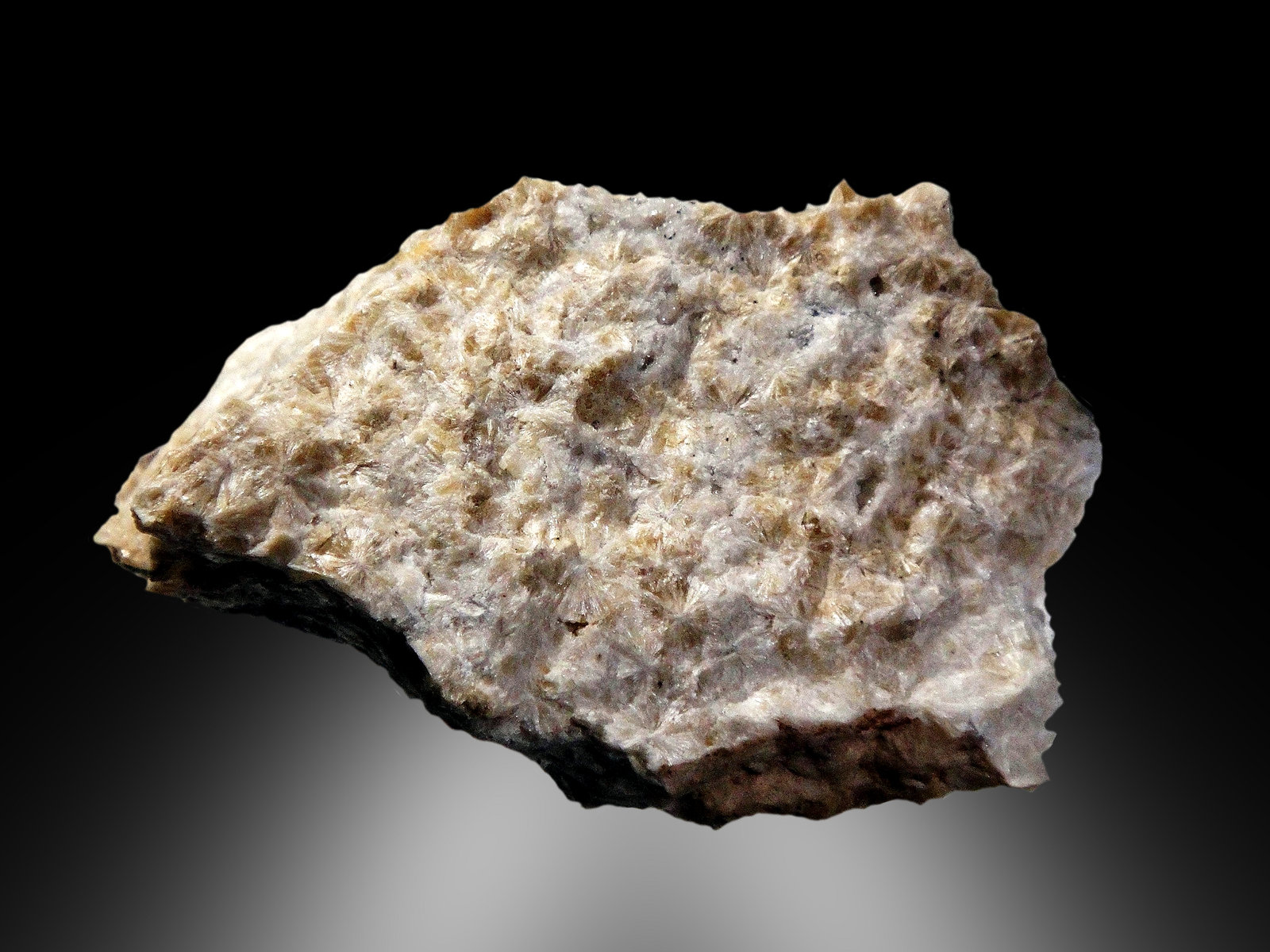 Willemita
6 x 4 cm.
(Autor: Antonio P. López)