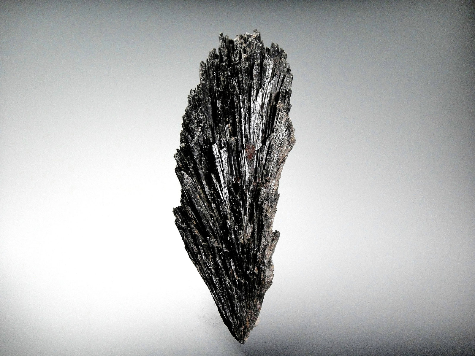 Cianita
10 x 4 cm.
(Autor: Antonio P. López)