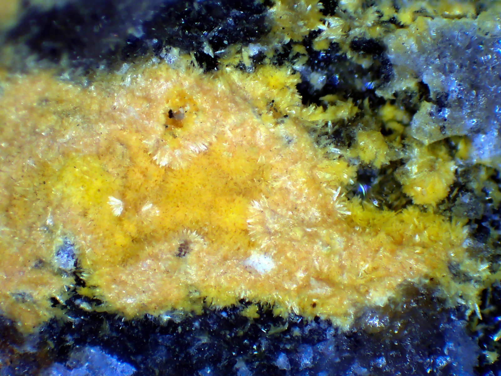 Kasolita
Campo de visión 2,5 mm.
(Autor: Antonio P. López)