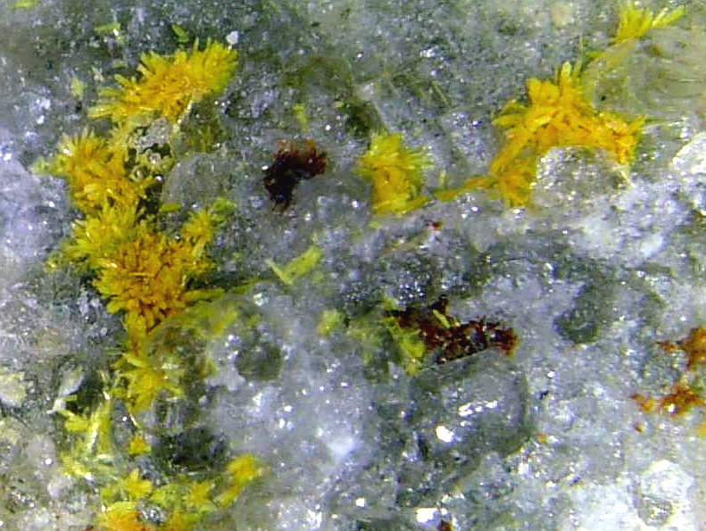 Kasolita
Campo de visión 8 mm.
(Autor: Antonio P. López)