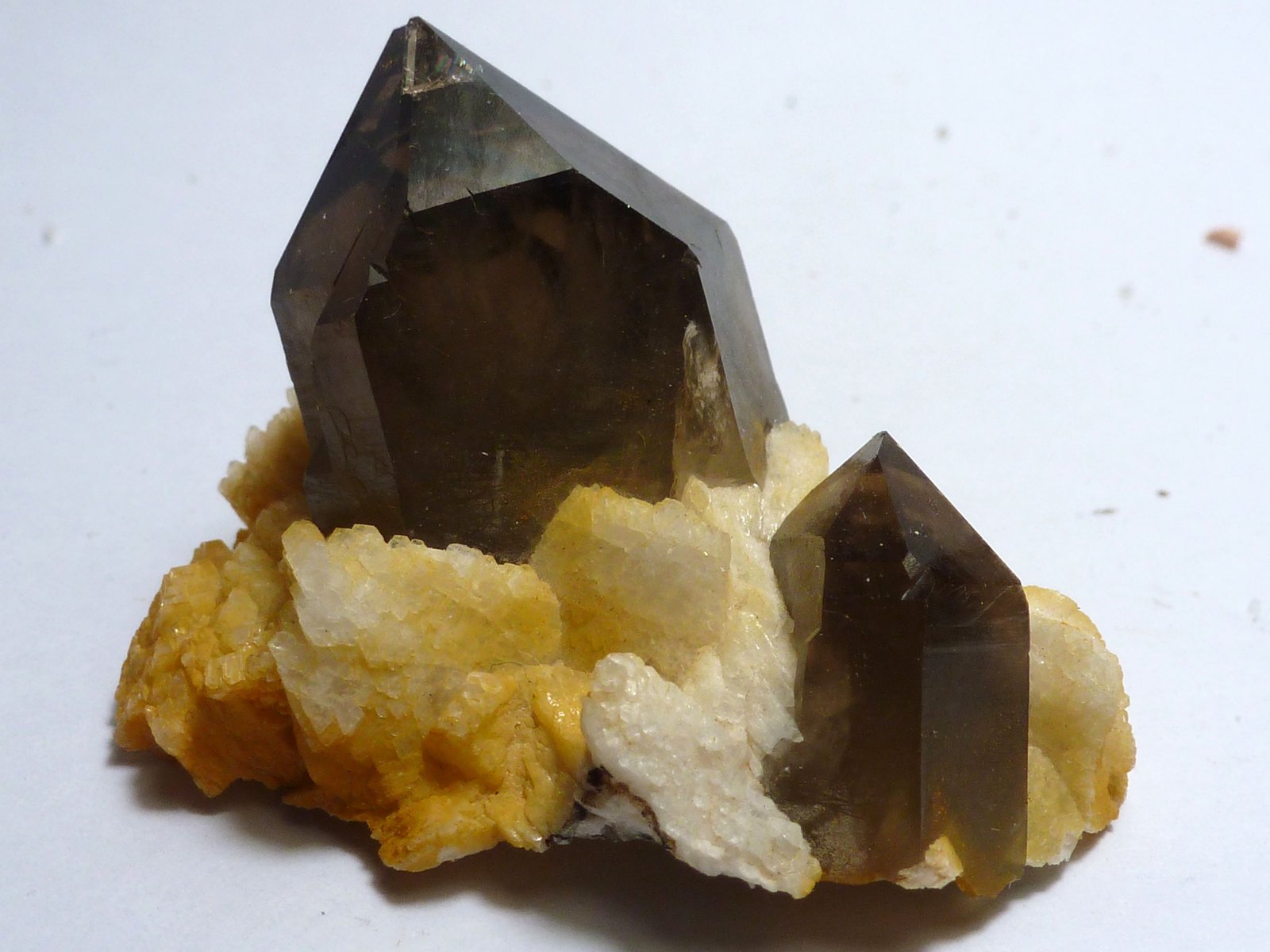 Cuarzo (variedad ahumado) y Albita
Medida: 4 x 2,5 x 2,3 cm
(Autor: Sergio Pequeño)