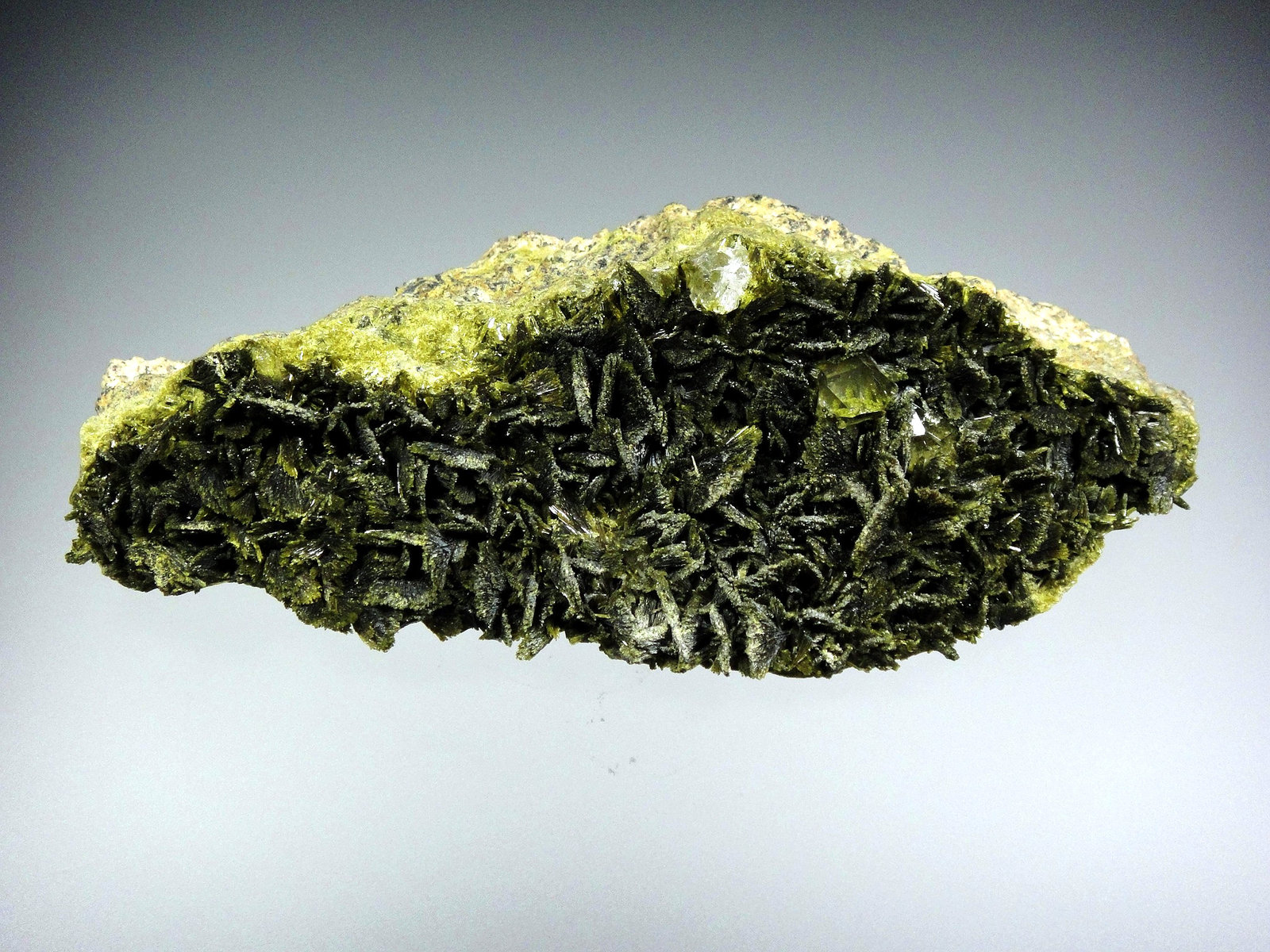 Clinozoisita-Epidota (Serie)
11 x 5 cm.
(Autor: Antonio P. López)