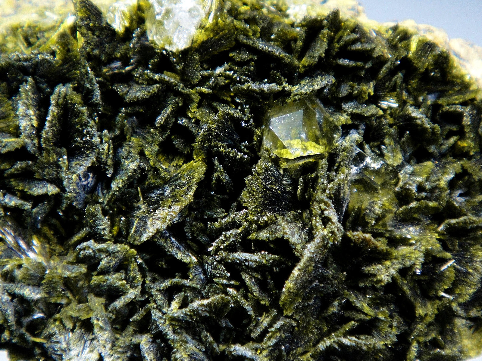 Clinozoisita-Epidota (Serie) y Cuarzo
Campo de visión 4 cm.
(Autor: Antonio P. López)