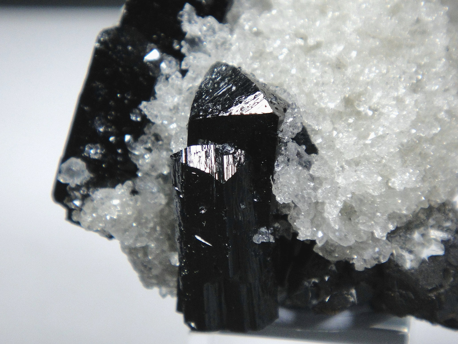 Ilvaíta y Cuarzo
Cristales de 2 cm.
(Autor: Antonio P. López)
