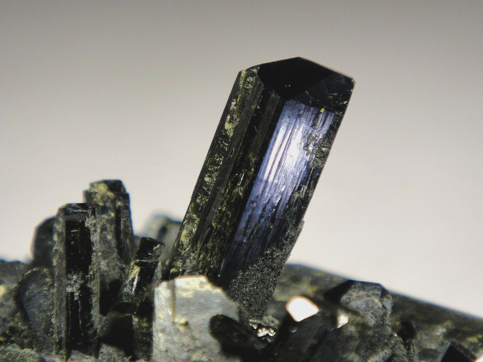 Epidota
Cristal de 2,5 cm.
(Autor: Antonio P. López)