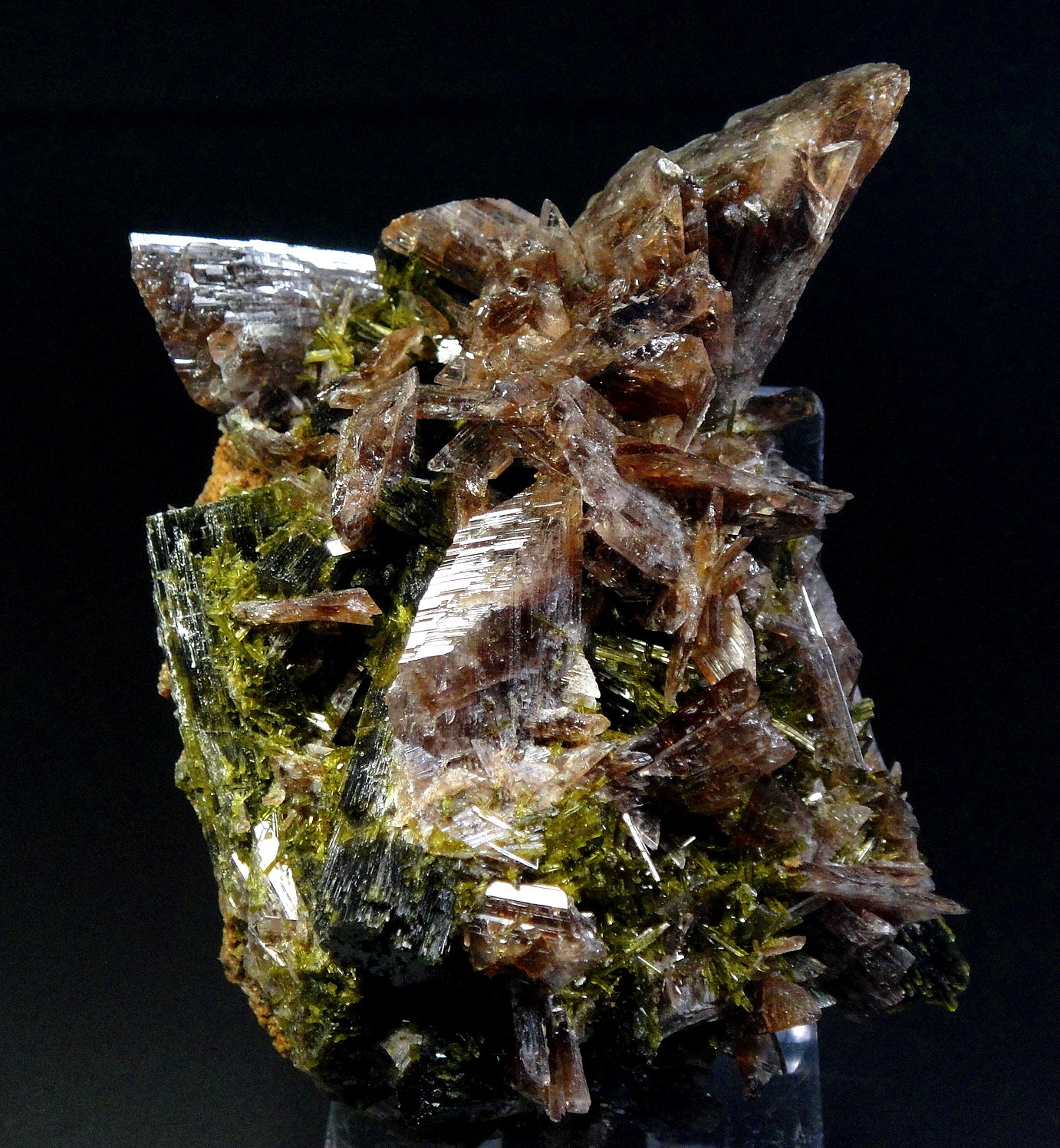 Axinita-(Mn), Epidota
9 x 5 cm.
(Autor: Antonio P. López)