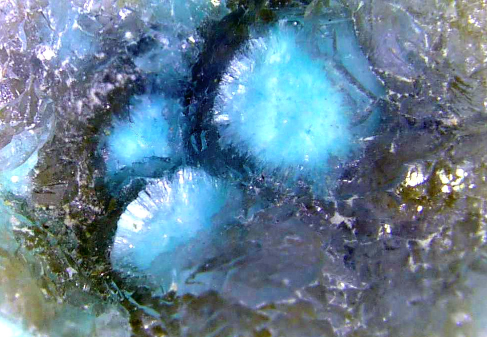 Hemimorfita, Aurichalcita (Auricalcita)
Campo de visión 5 mm.
(Autor: Antonio P. López)