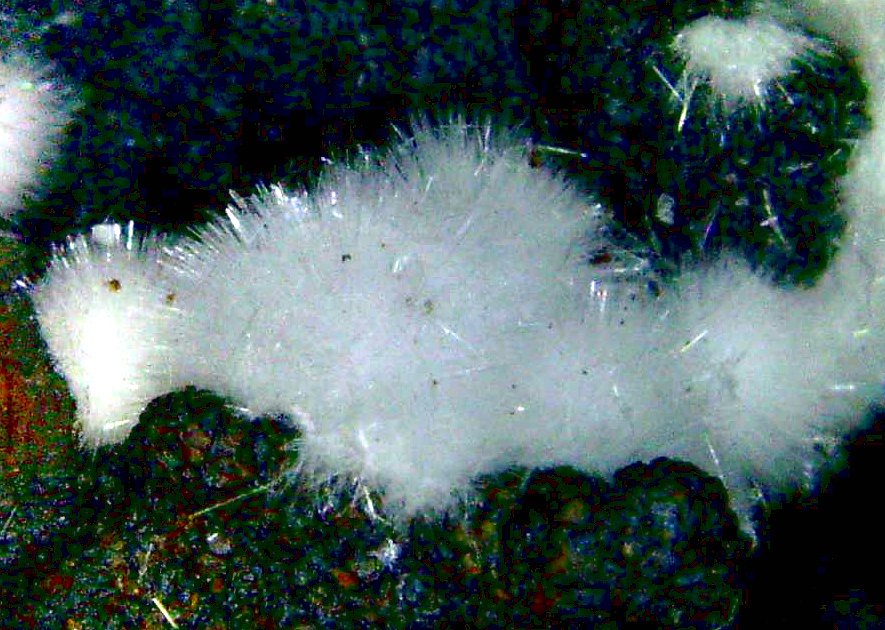 Hemimorfita
Campo de visión 10 mm.
(Autor: Antonio P. López)