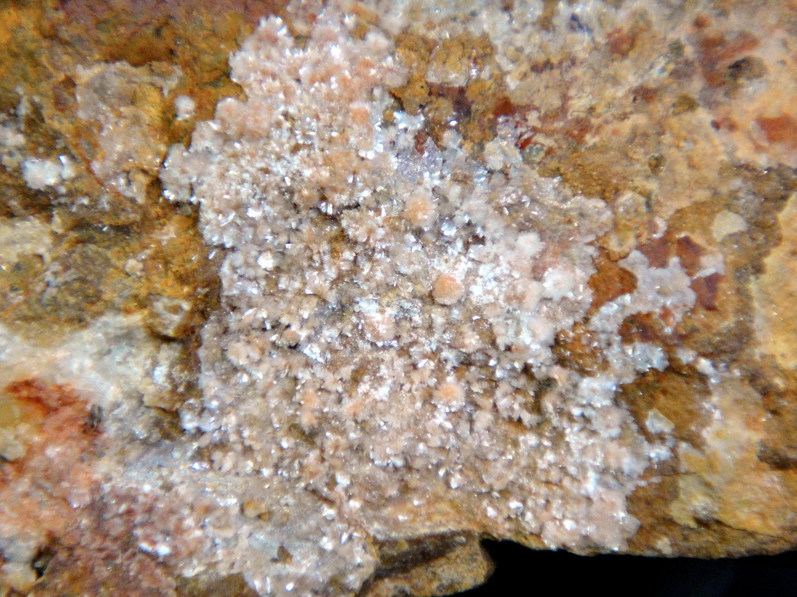 Hemimorfita
Campo de visión 3 cm.
(Autor: Antonio P. López)
