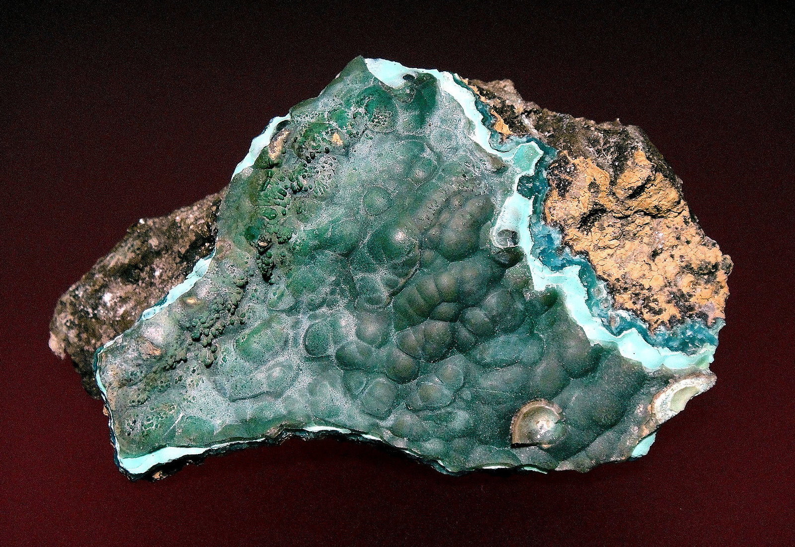 Hemimorfita
7 x 4 cm.
(Autor: Antonio P. López)