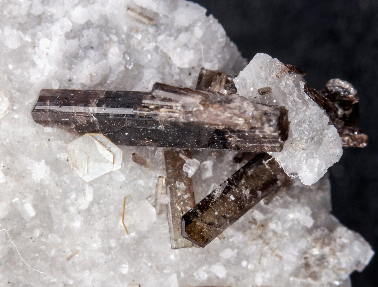 Dissakisita-(Ce)-Allanita-(Ce) (Serie) en Dolomita [Dolomite]
Cristal mayor de 13 mm.
(Autor: Antonio P. López)