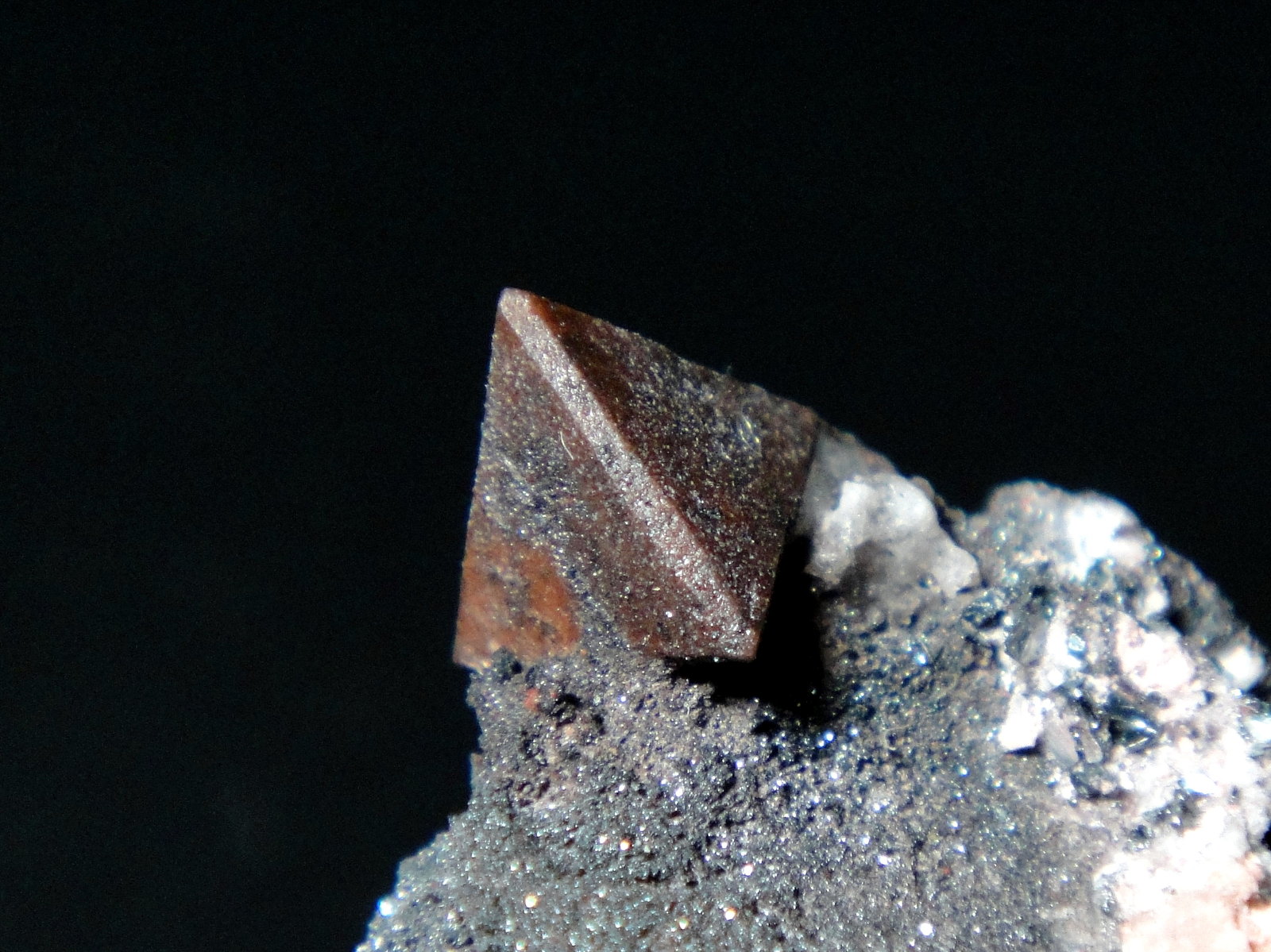 Zunyita
Cristal de 7 mm.
(Autor: Antonio P. López)