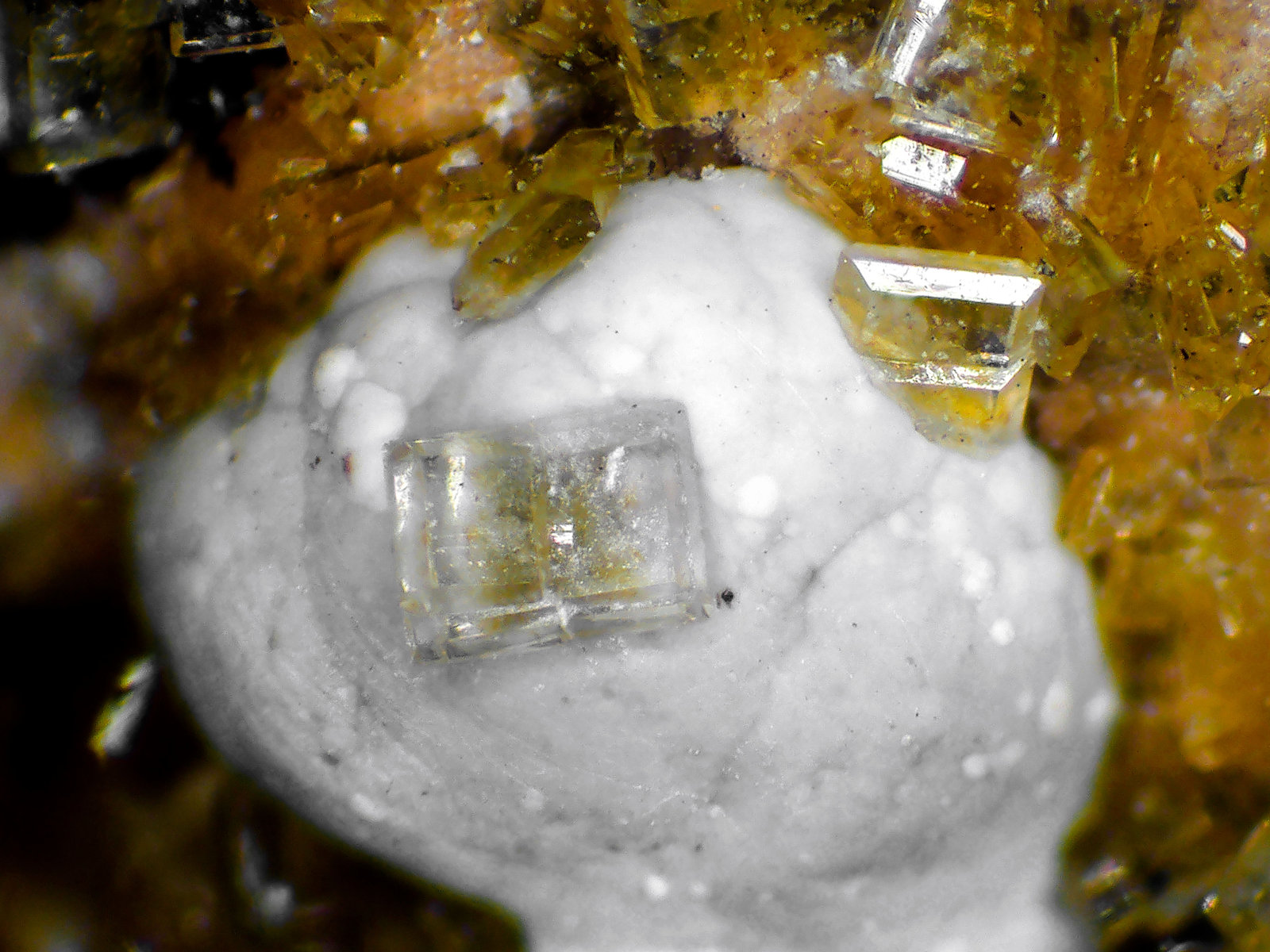 Hemimorfita en Hidrozincita
Campo de visión 4 mm.
(Autor: Antonio P. López)