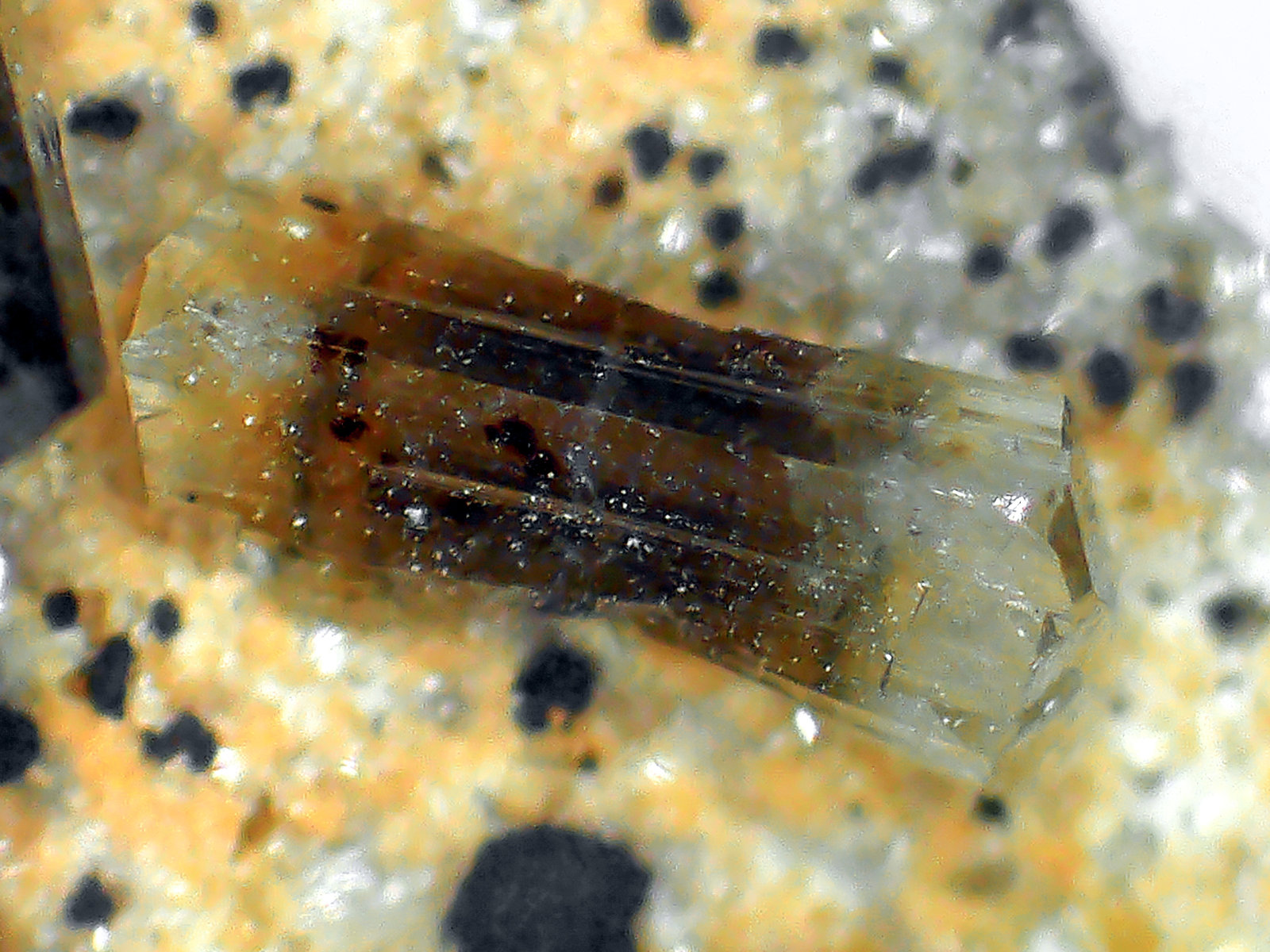 Hemimorfita
Campo de visión 5 mm.
(Autor: Antonio P. López)