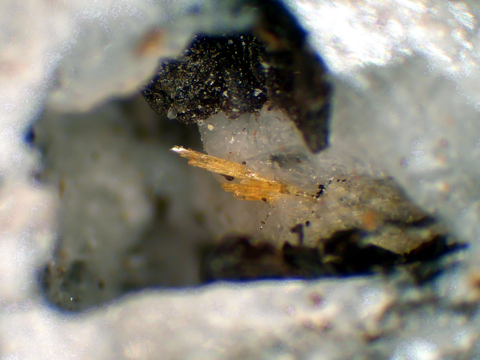 Madeiraíta
Grupo de cristales de 1 mm.
(Autor: Antonio P. López)