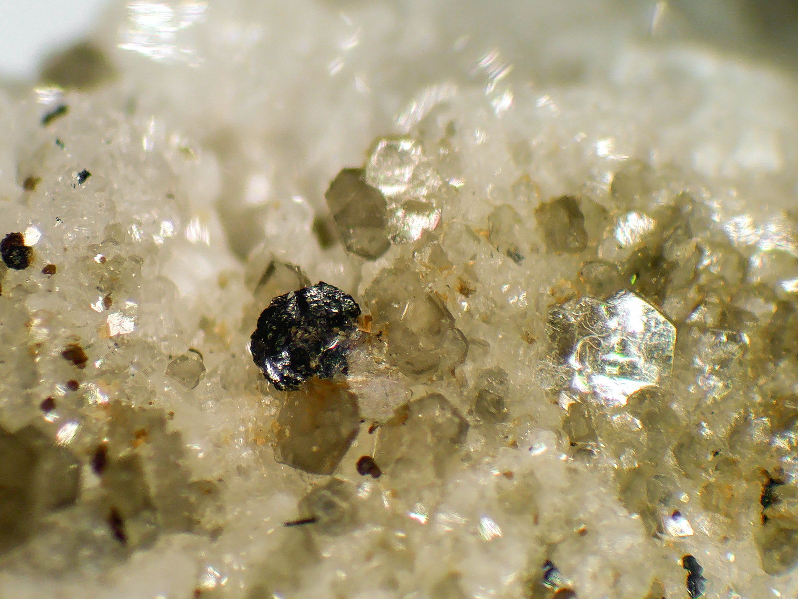 Cervandonita-(Ce), Moscovita
Cristal de 1 mm.
(Autor: Antonio P. López)