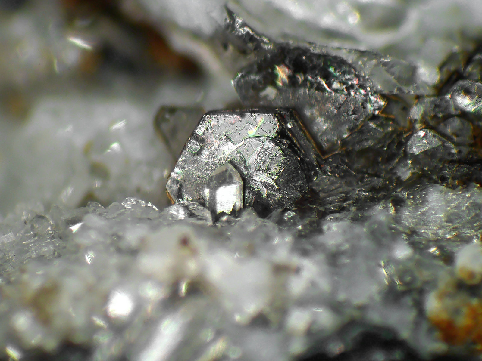 Moscovita
Cristal de 2 mm.
(Autor: Antonio P. López)