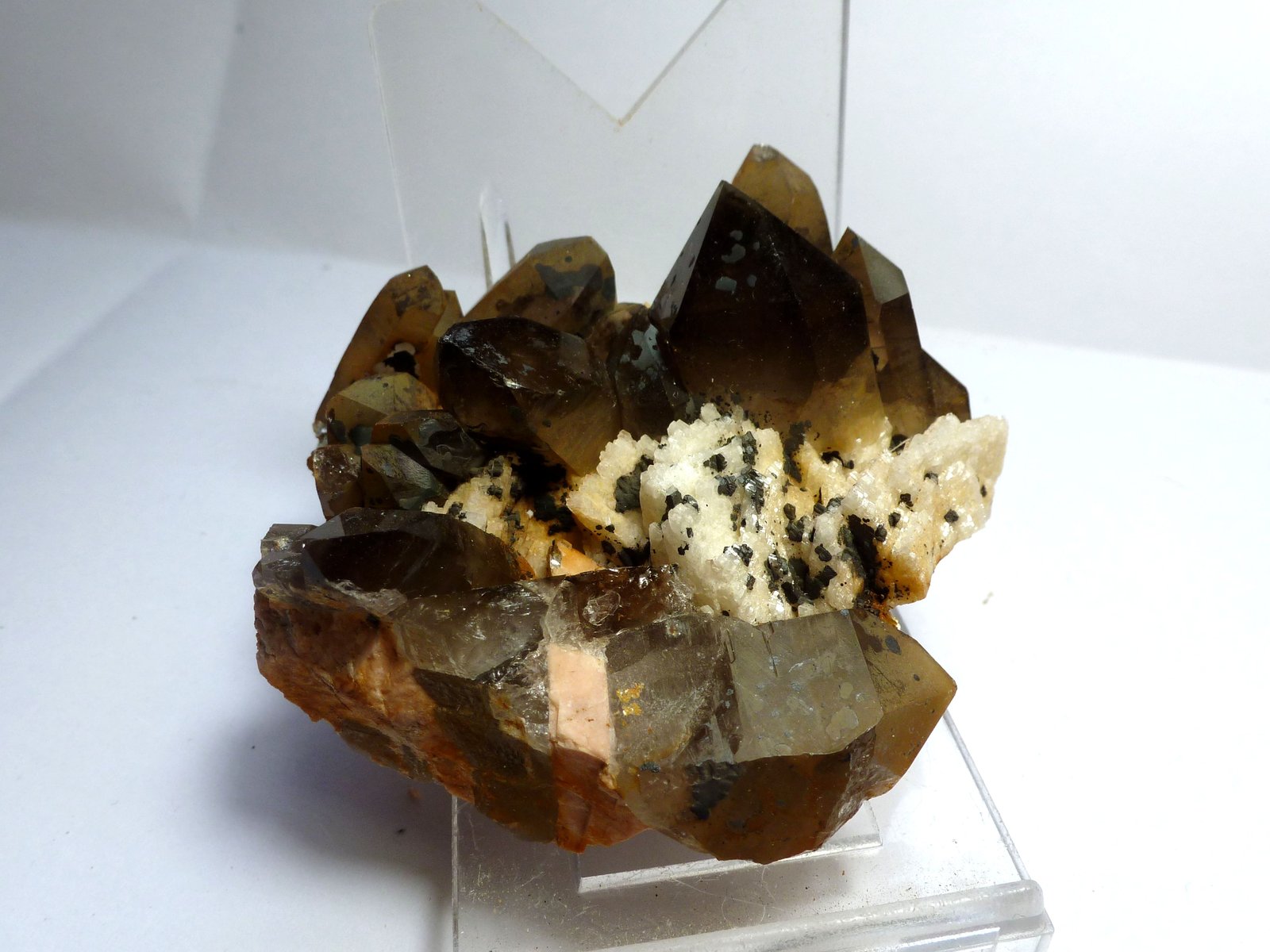 Cuarzo (variedad ahumado) y Albita
Medida: 6,3 x 5 x 3,5 cm
(Autor: Sergio Pequeño)