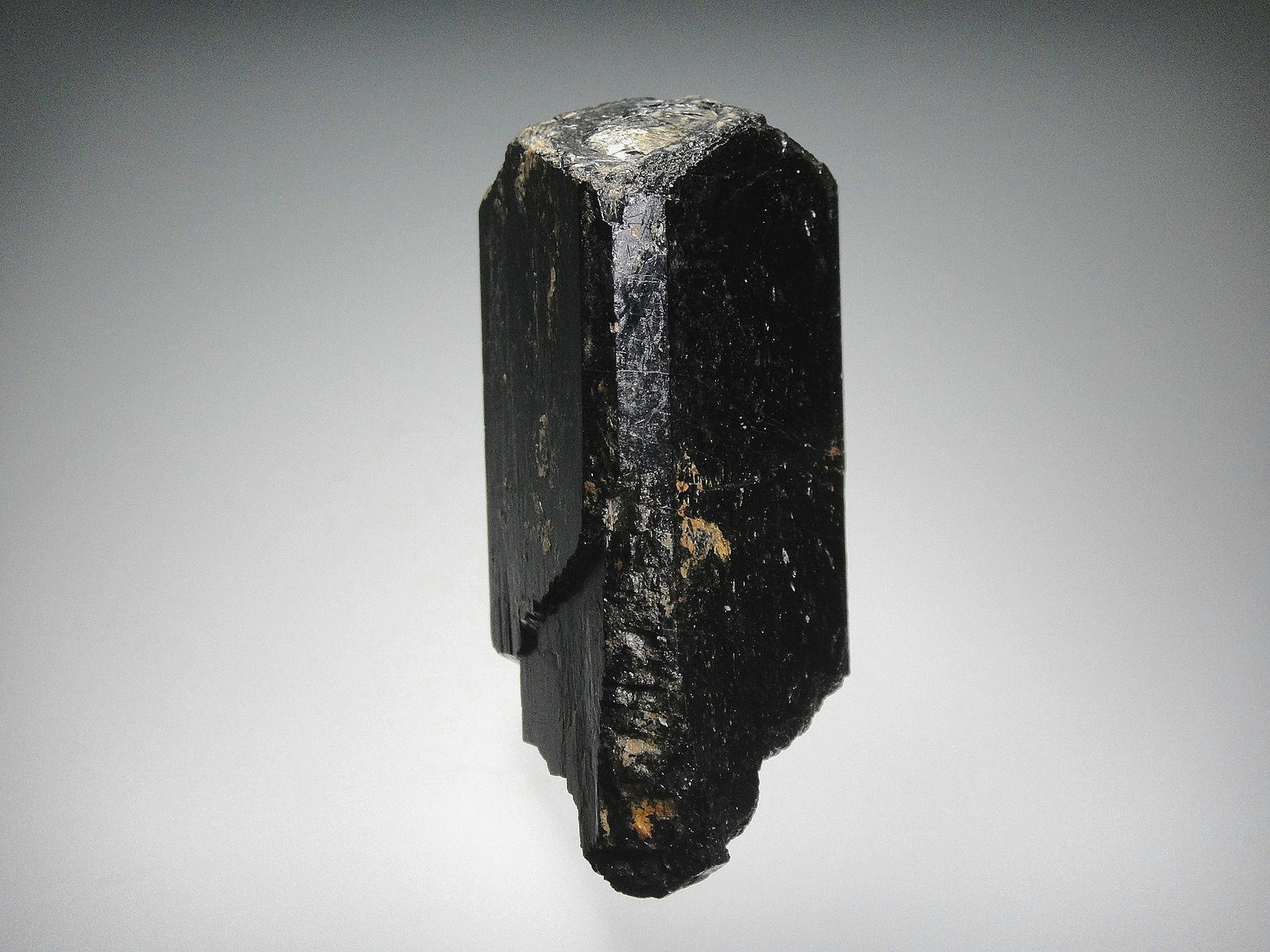 Schorlo (Chorlo)
7 x 4 cm.
(Autor: Antonio P. López)