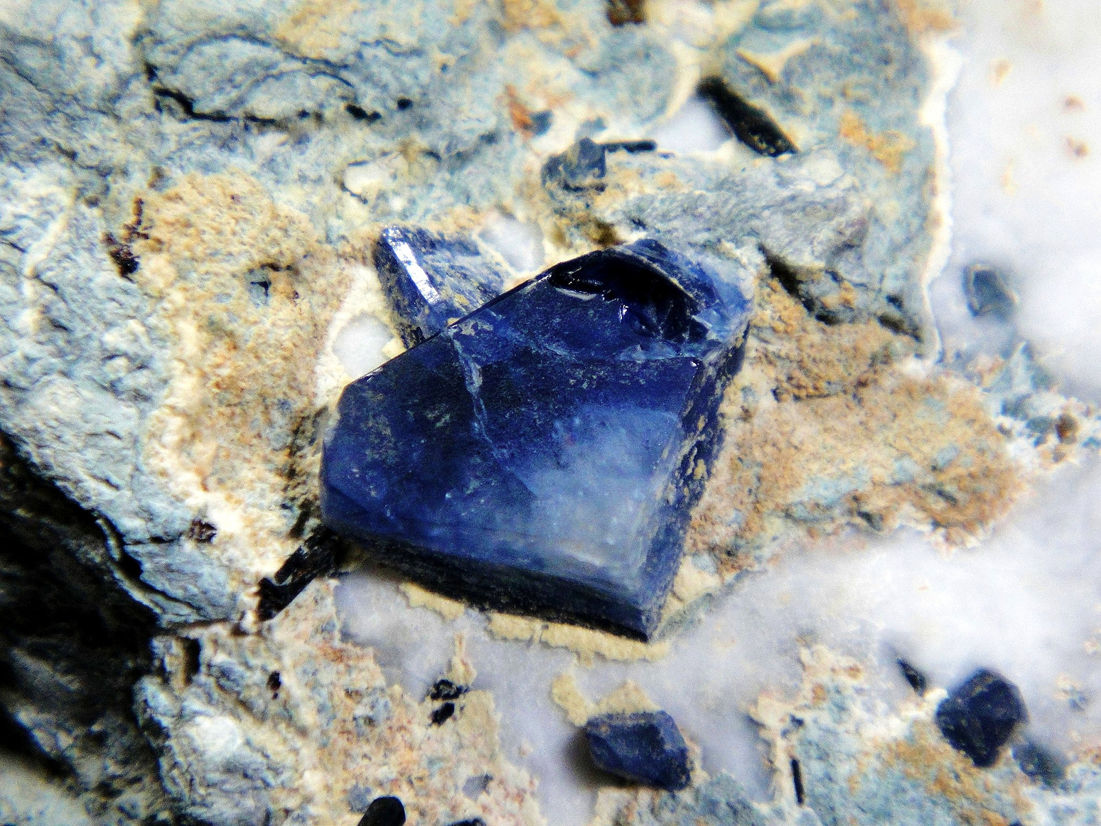 Benitoita
Cristal de 13 mm.
(Autor: Antonio P. López)