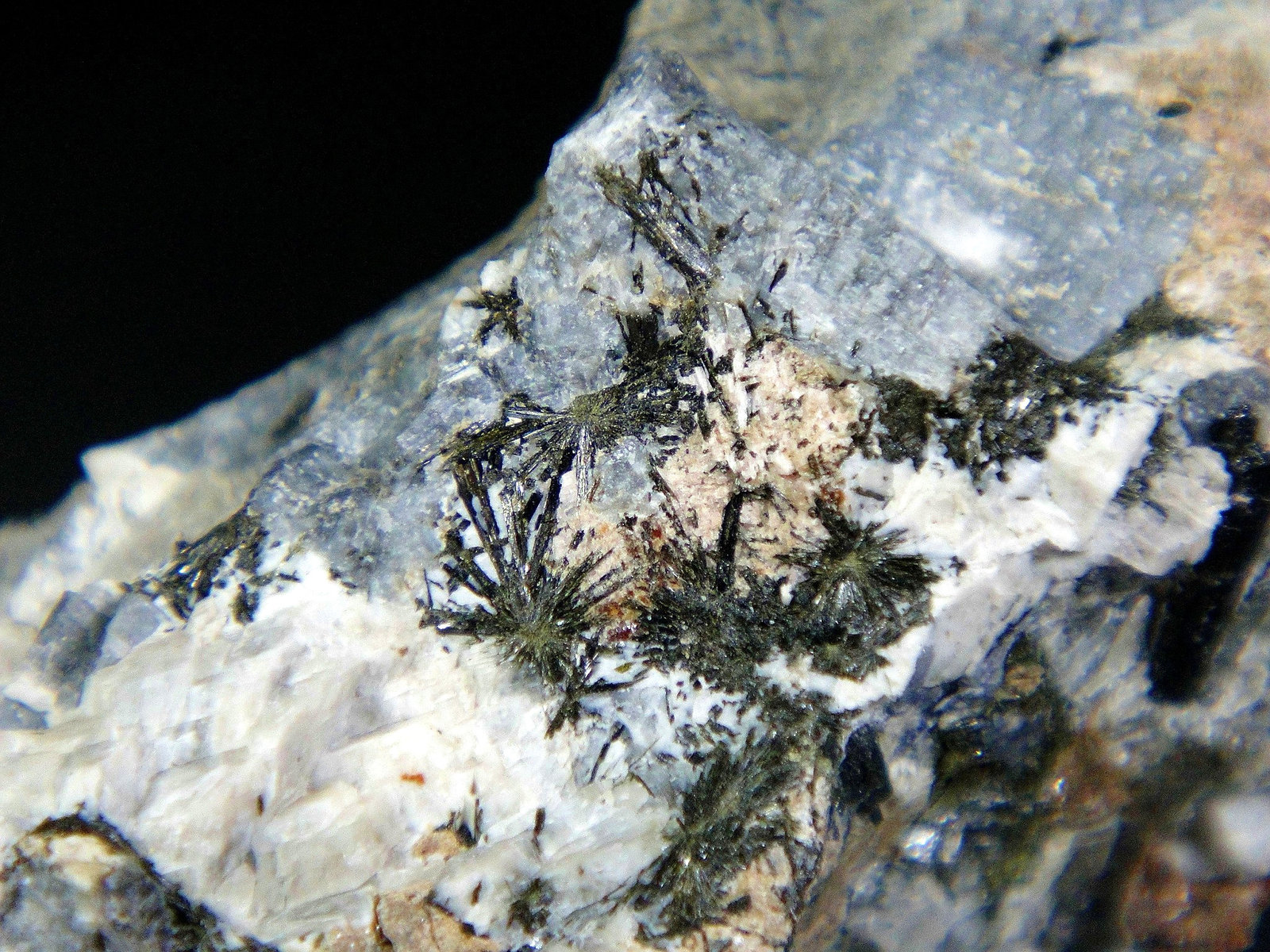 Petarasita, Aegirina
Campo de visión 4 cm.
(Autor: Antonio P. López)