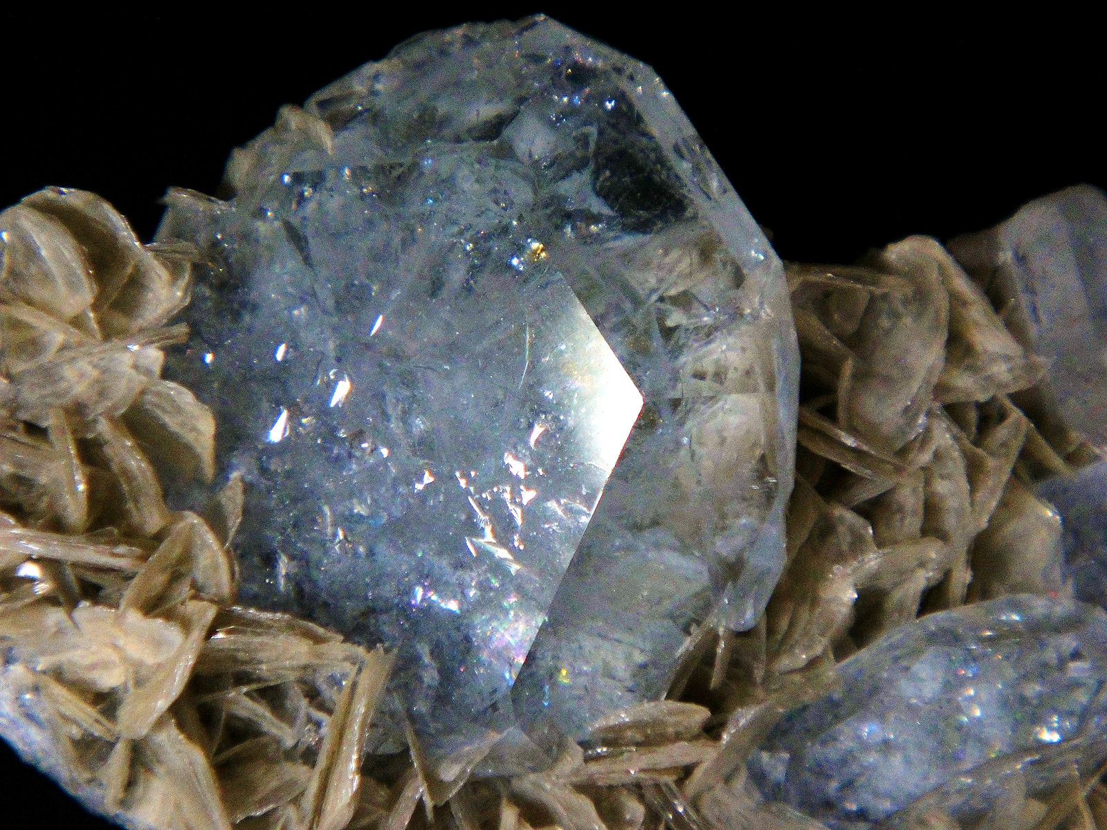 Berilo (variedad goshenita) y Moscovita
Cristal de 3 cm.
(Autor: Antonio P. López)