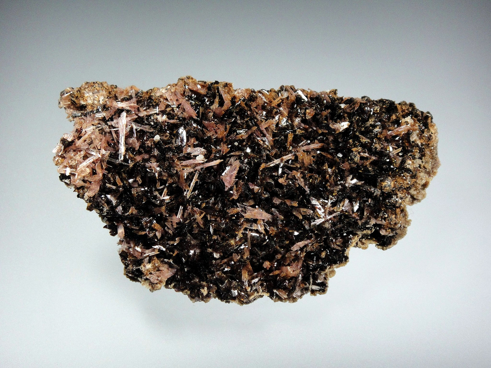 Hubeíta, Inesita
8 x 5 cm.
(Autor: Antonio P. López)