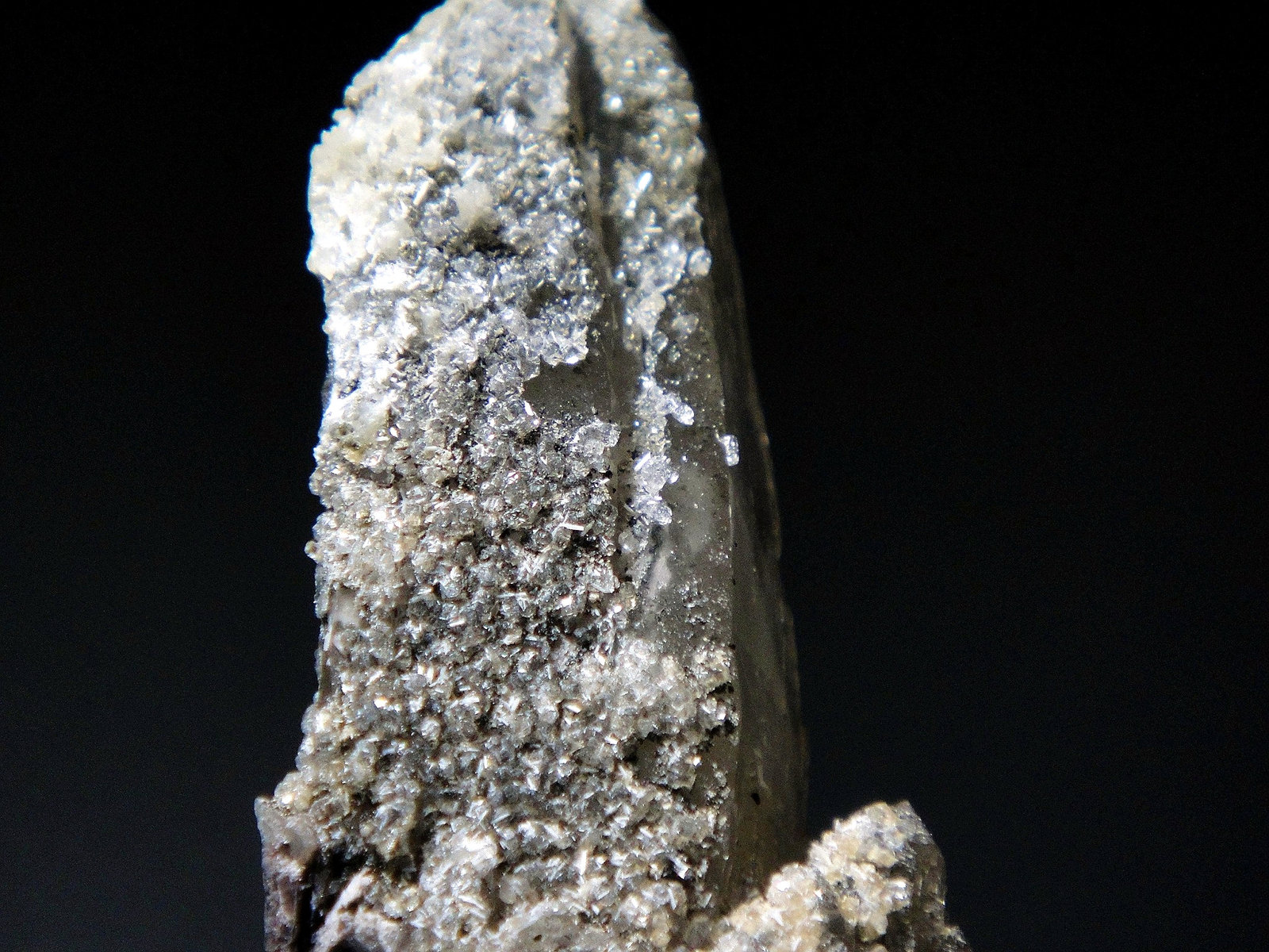 Milarita en Cuarzo
Campo de visión 4 cm.
(Autor: Antonio P. López)