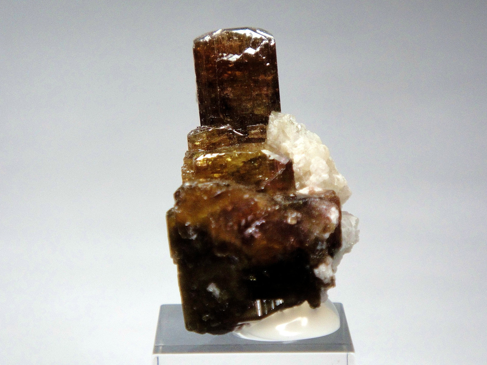Fluor-liddicoatita (Grupo Turmalina)
3 x 2 cm.
(Autor: Antonio P. López)