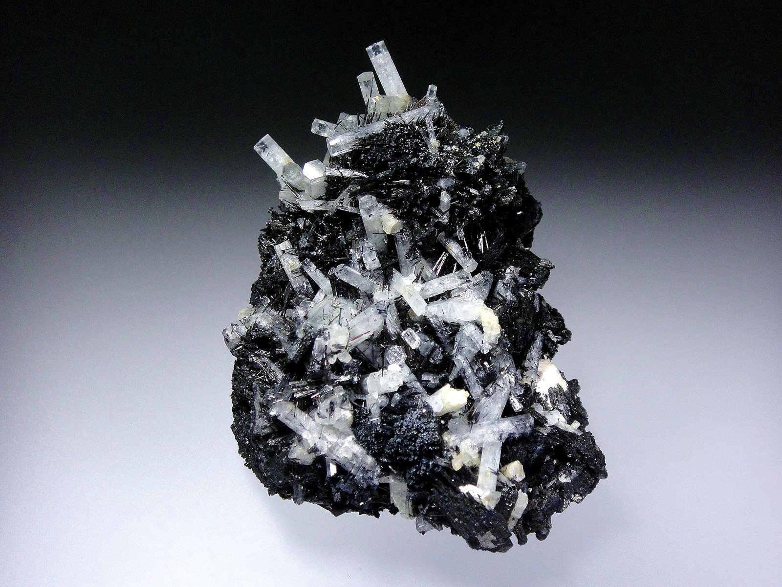 Berilo (variedad aguamarina) en Schorlo (Chorlo)
8 x 6 cm.
(Autor: Antonio P. López)