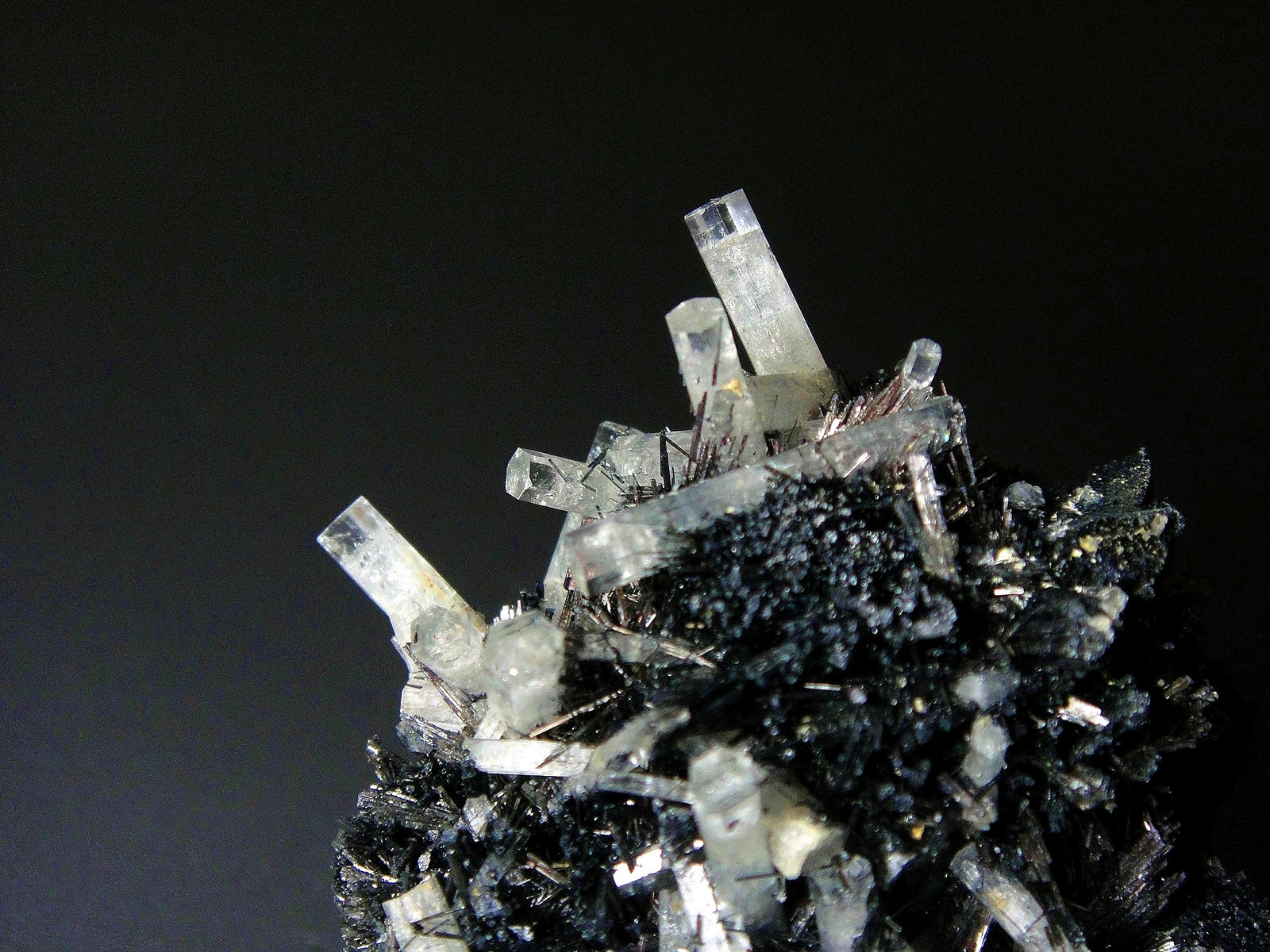 Berilo (variedad aguamarina) en Schorlo (Chorlo)
Cristales de 2 cm.
(Autor: Antonio P. López)
