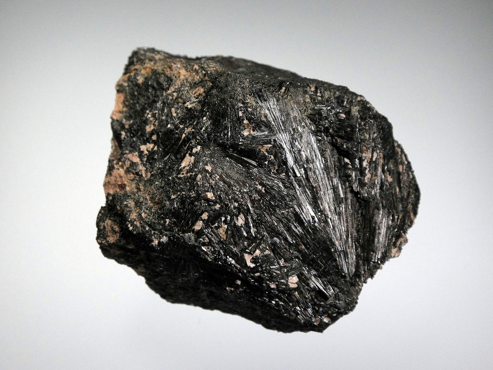 Chorlo
7 x 6 cm.
(Autor: Antonio P. López)