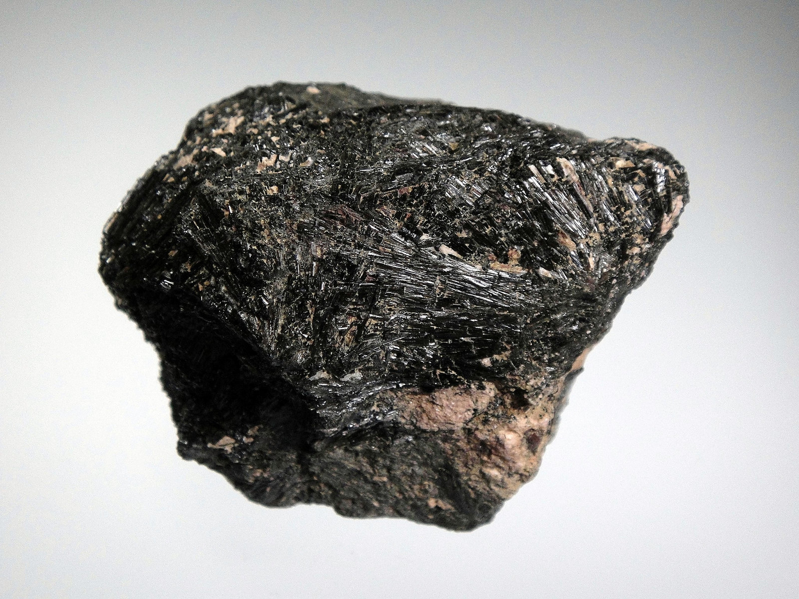 Chorlo
7 x 6 cm.
(Autor: Antonio P. López)