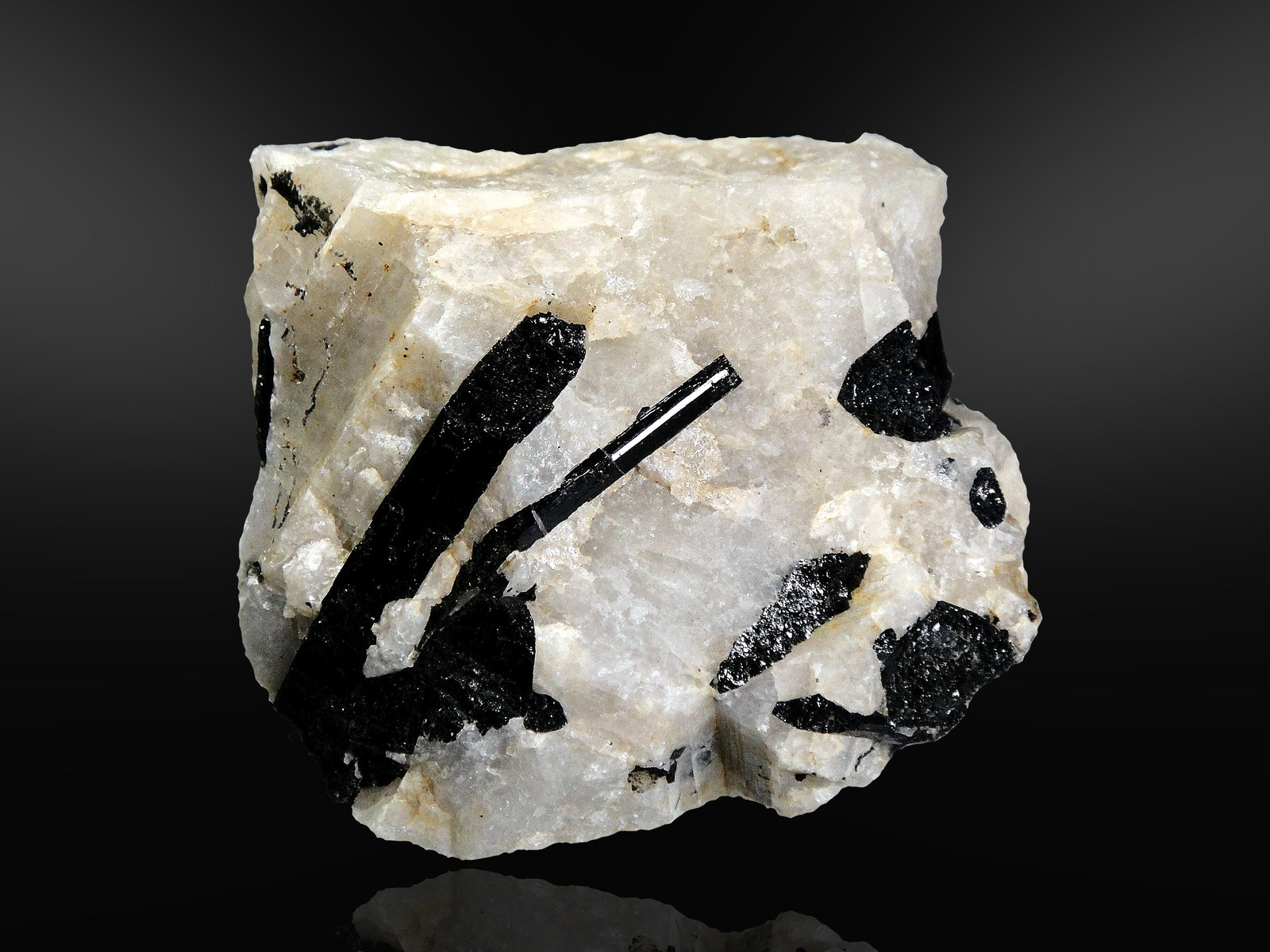 Schorlo (Chorlo)
7 x 6 cm.
(Autor: Antonio P. López)