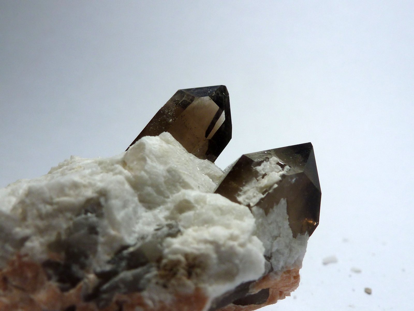 Cuarzo (variedad ahumado) y Albita
Medida: 4 x 3 x 2,5 cm
(Autor: Sergio Pequeño)