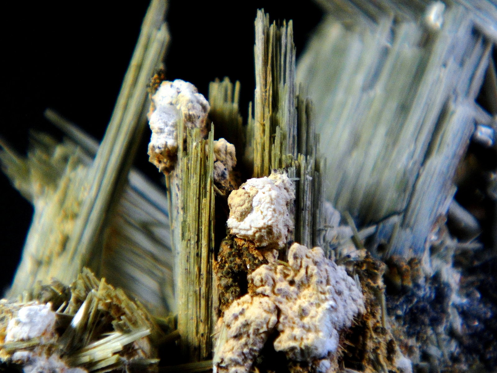 Ferroactinolita, Prehnita
Campo de visión 4 cm.
(Autor: Antonio P. López)