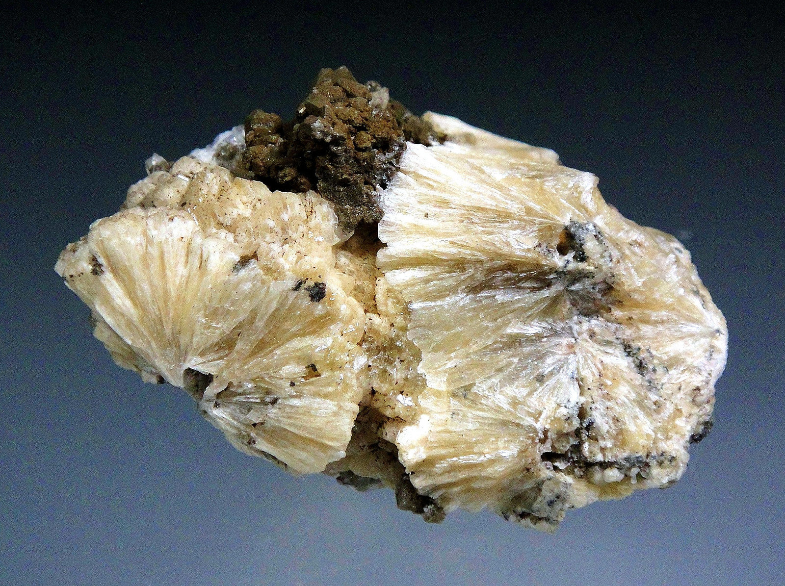 Pectolita
5 x 3 cm.
(Autor: Antonio P. López)