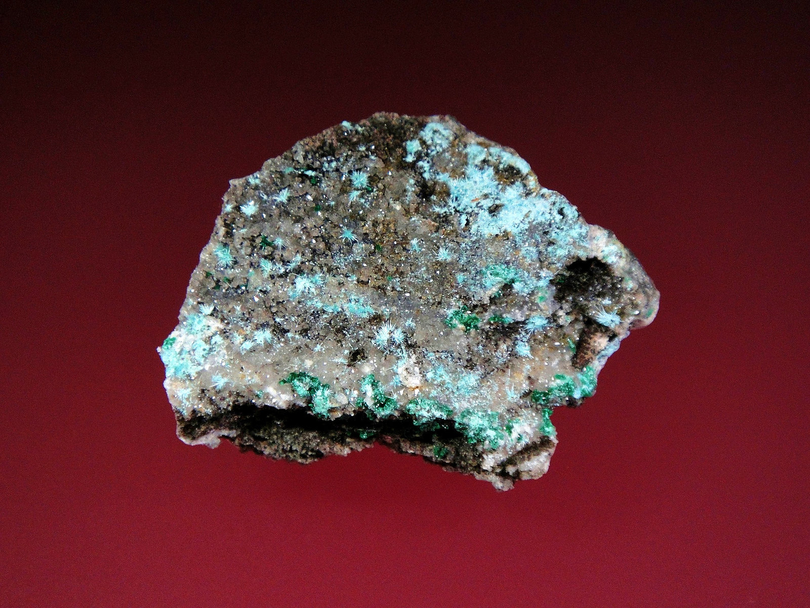 Plancheita
5 x 3 cm.
(Autor: Antonio P. López)