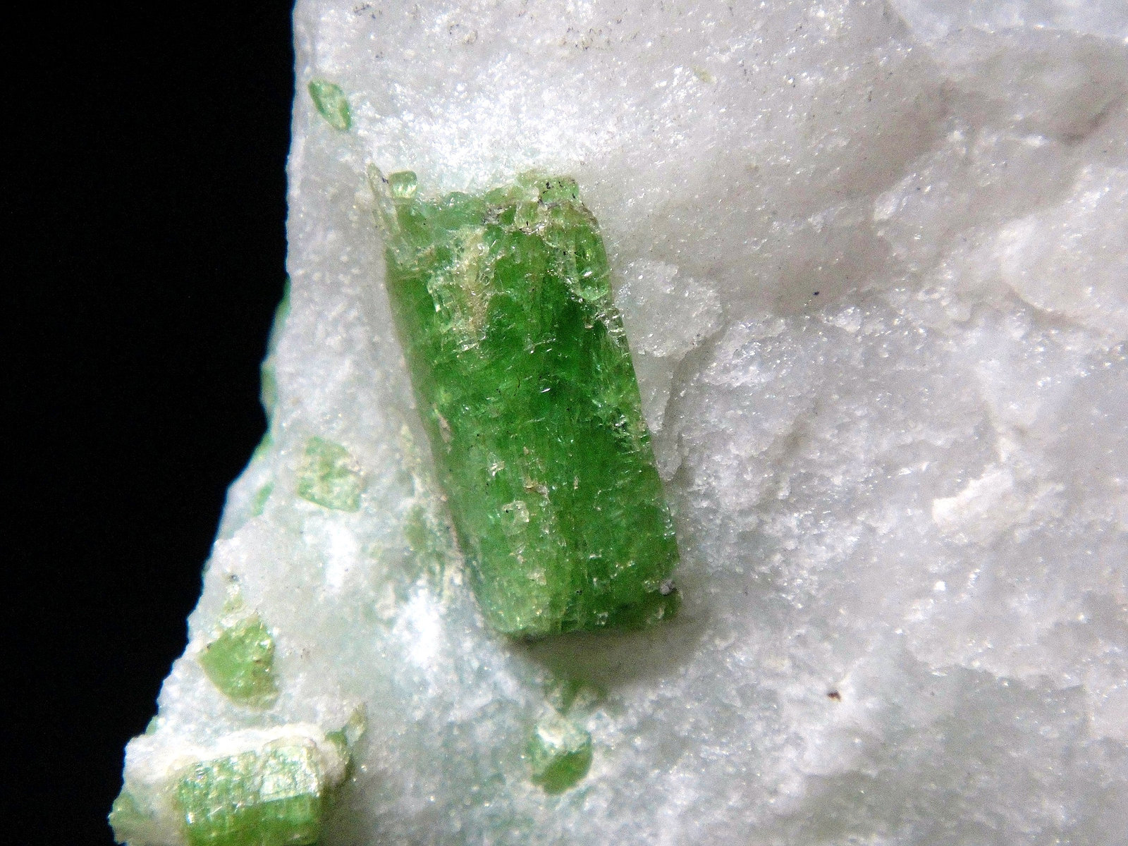 Pargasita
Cristal de 1,8 cm.
(Autor: Antonio P. López)