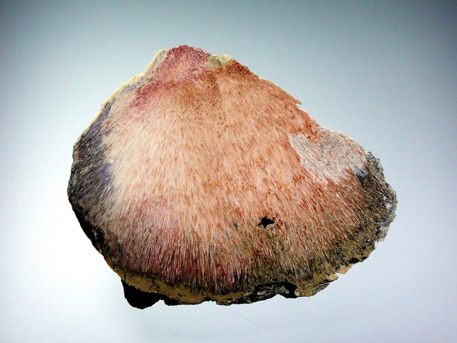 Yuksporita
8 x 6,5 cm.
(Autor: Antonio P. López)