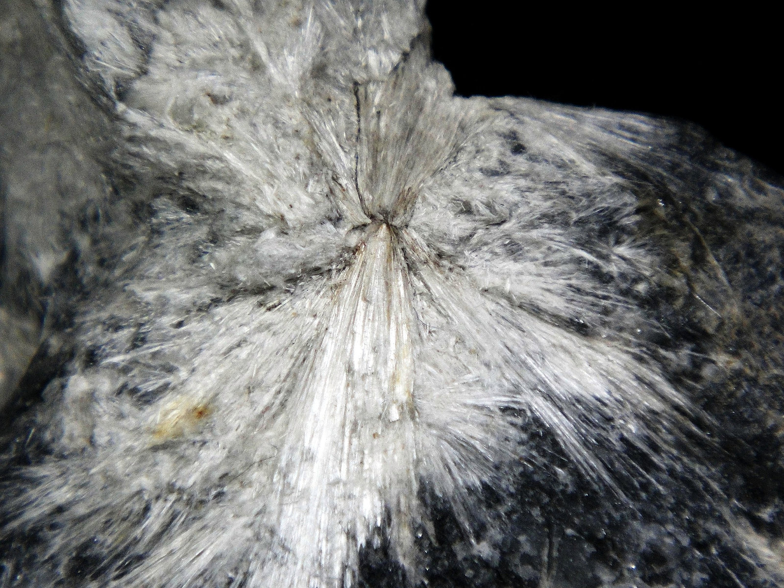 Tremolita
6 x 6 cm
(Autor: Antonio P. López)