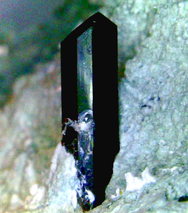Neptunita
Cristal de 11 mm.
(Autor: Antonio P. López)