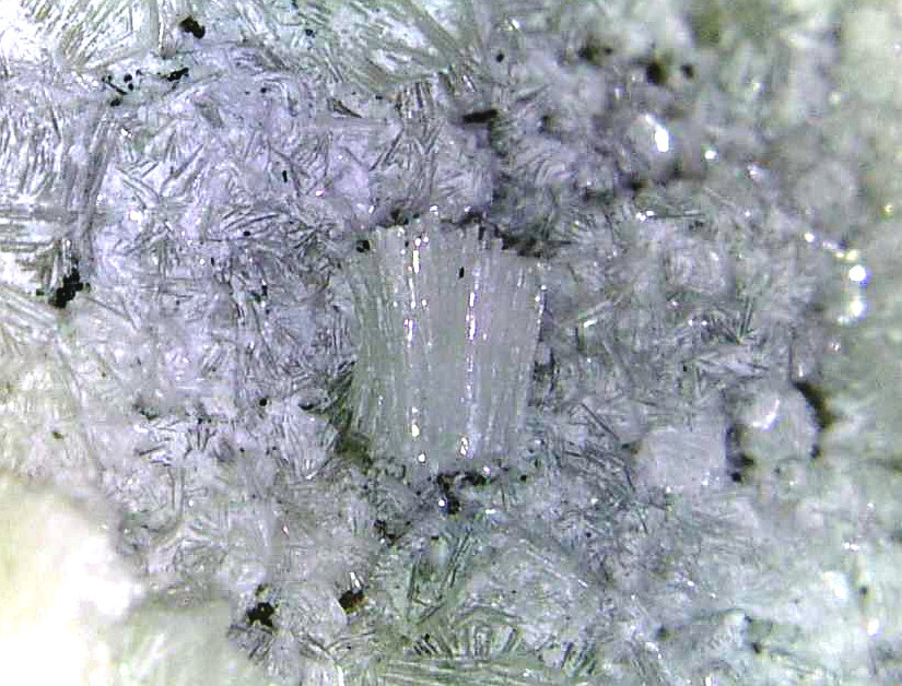 Bavenita
Cristal de 2 mm.
(Autor: Antonio P. López)