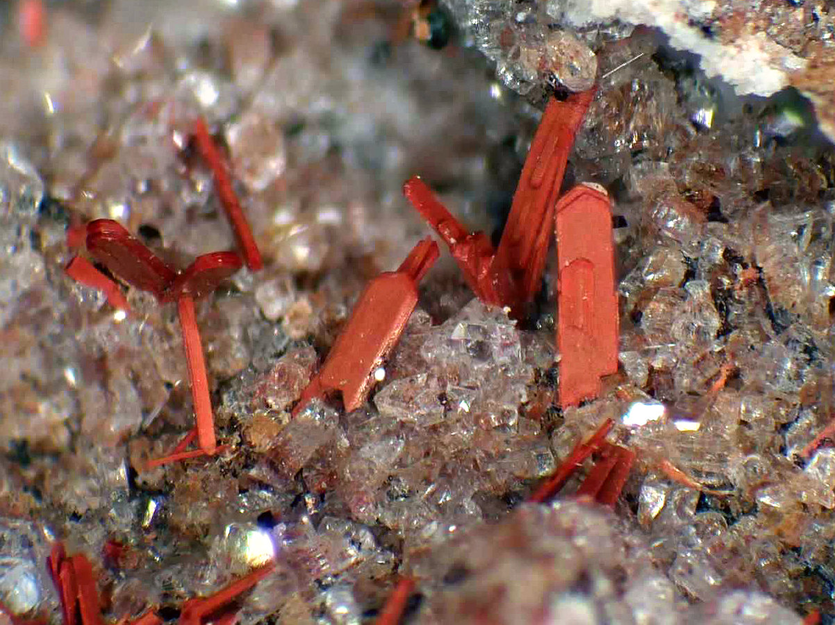 Enstatita, Sanidina
Campo de visión 5 mm.
(Autor: Antonio P. López)