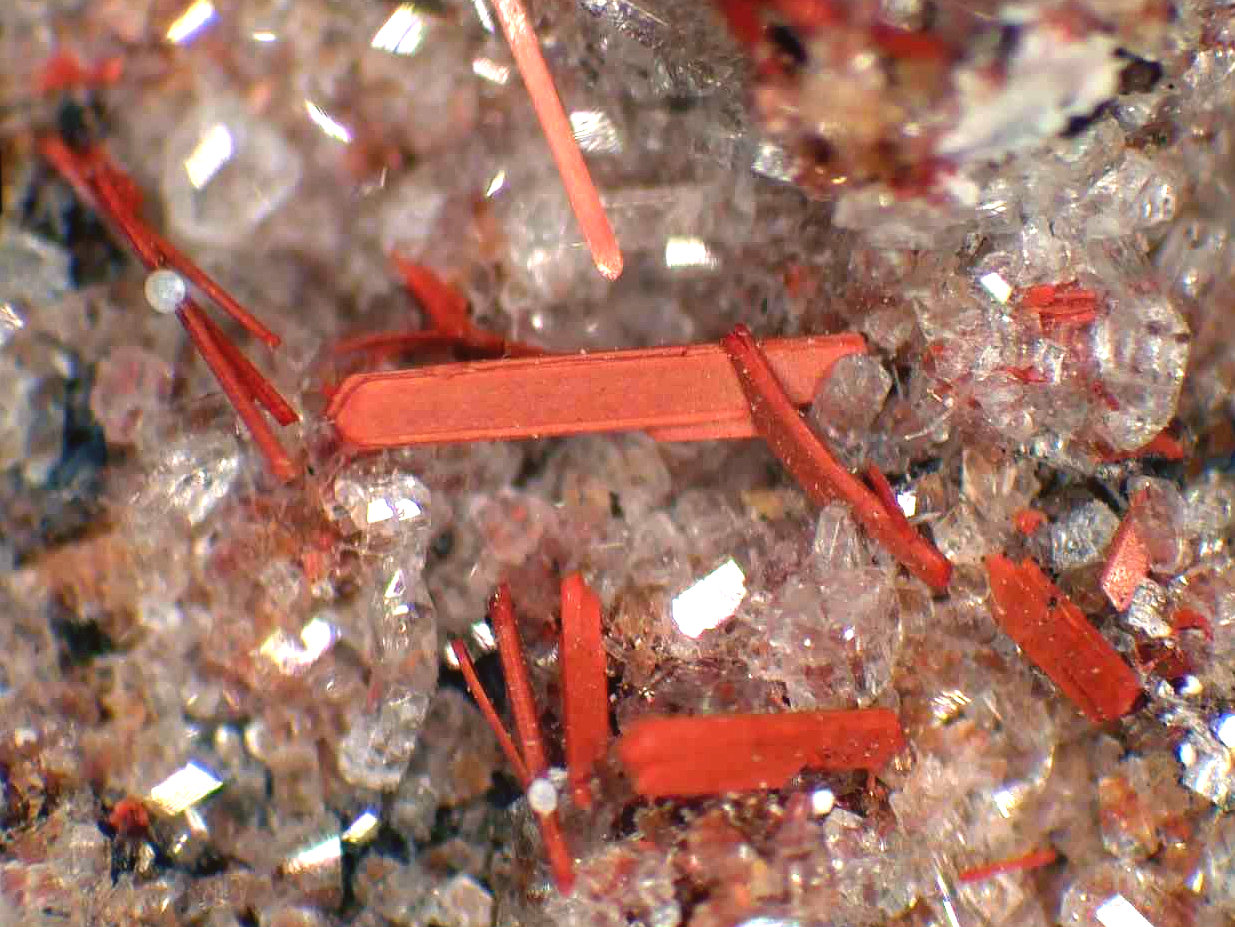 Enstatita, Sanidina
Campo de visión 4 mm.
(Autor: Antonio P. López)