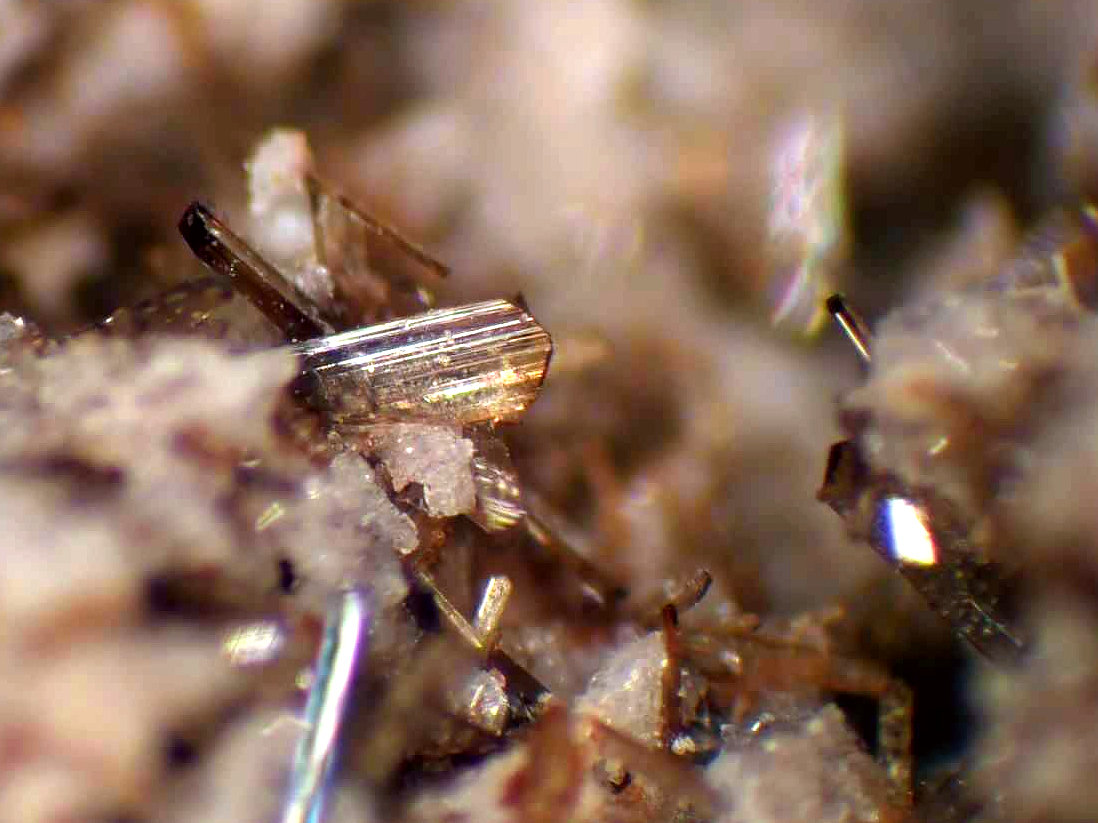 Enstatita
Cristal de 2 mm.
(Autor: Antonio P. López)