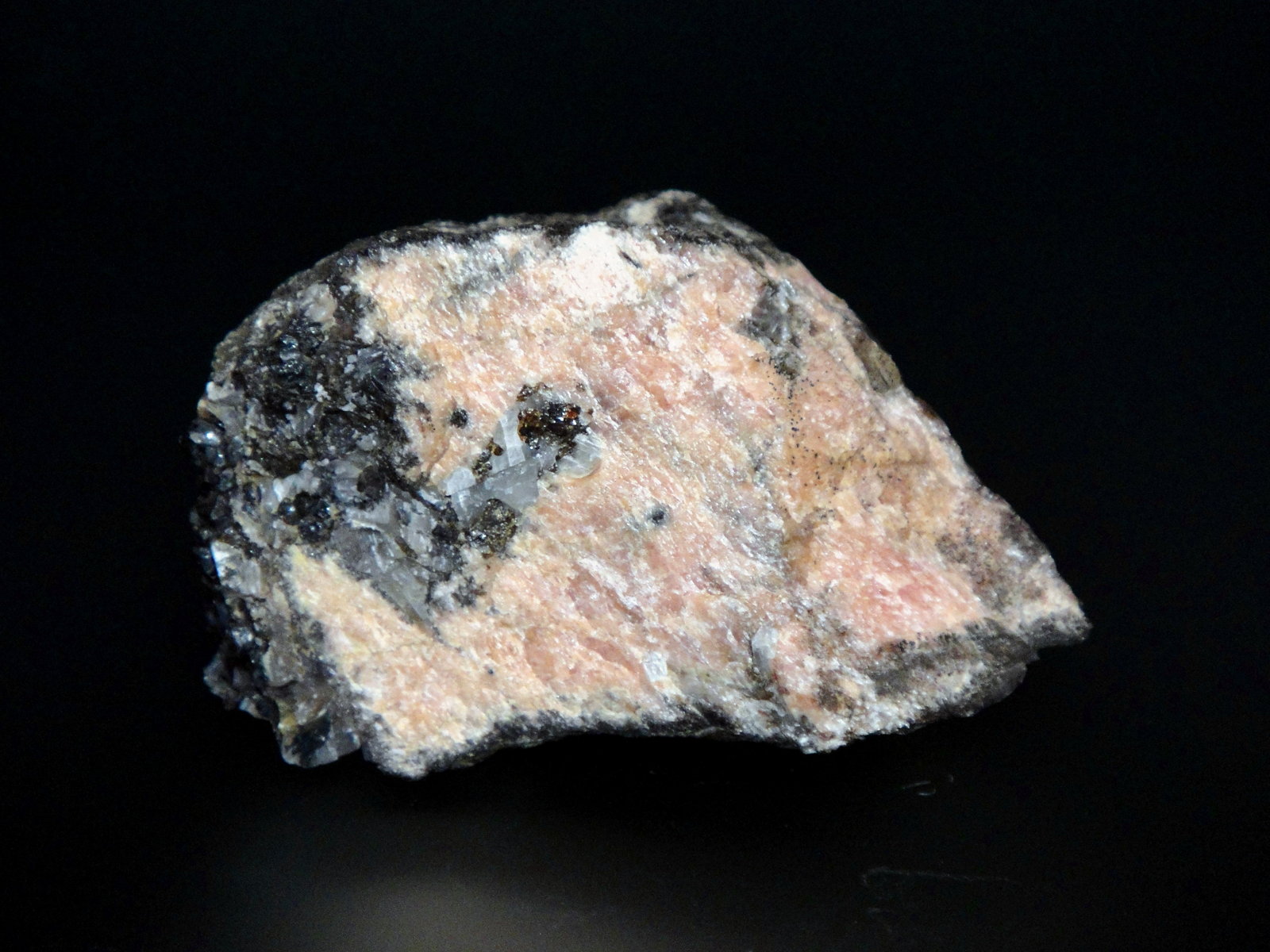 Bustamita
6 x 4 cm.
(Autor: Antonio P. López)