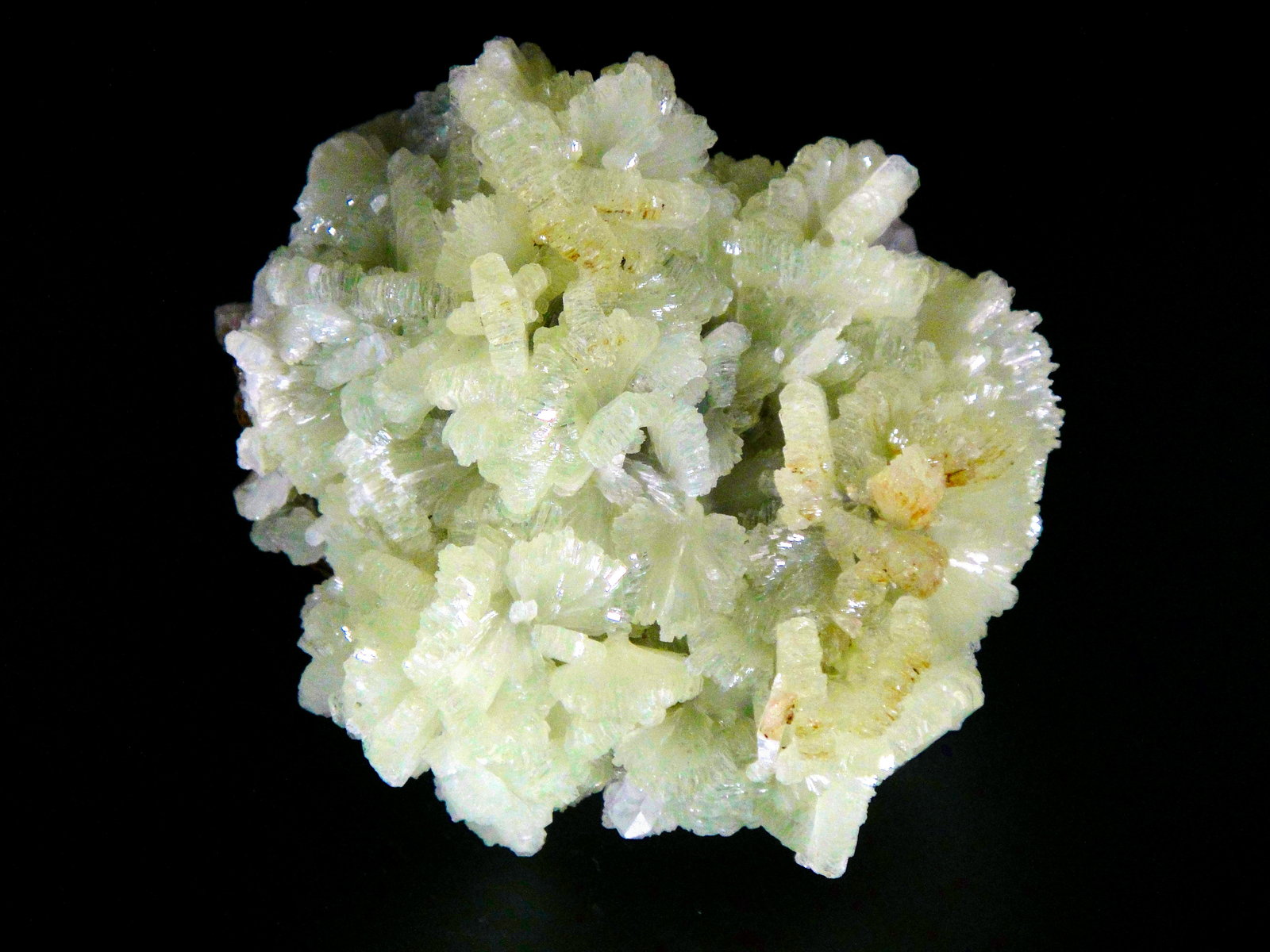 Prehnita
6 x 6 cm.
(Autor: Antonio P. López)